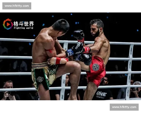 董文飞对决播求巅峰较量谁主站立格斗新纪元传奇之战引爆世界拳坛风云